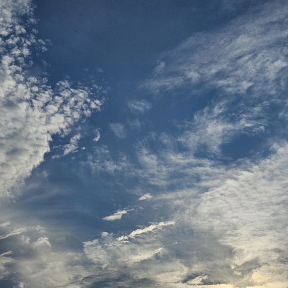 Meet your Posher, Miseon - Picture 1 of 1